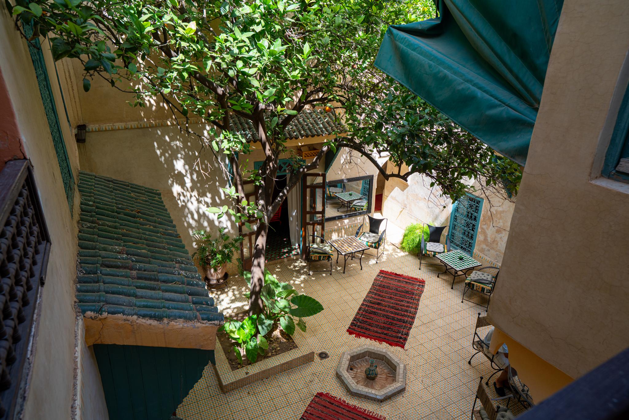 Riad Mady