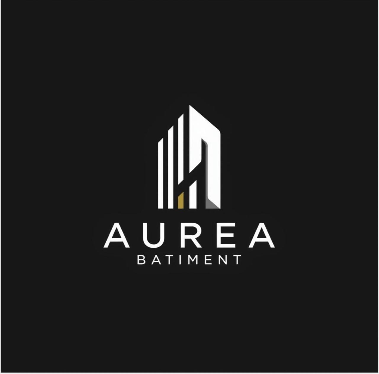 Directeur BTP Celestia Invest — Expert rénovation riad et construction villa Marrakech