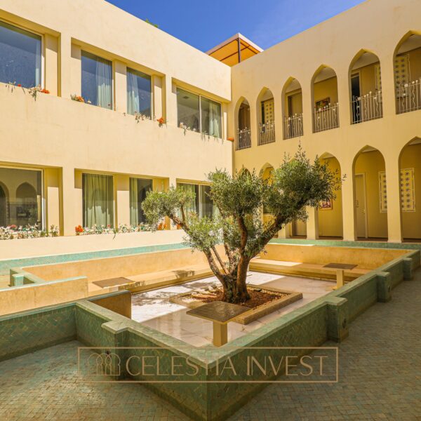 El soleado patio del Hotel Fadwa, adornado con un majestuoso olivo en el centro.