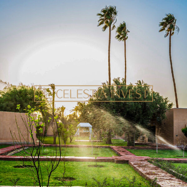 Un jardín bañado por el sol con imponentes palmeras y una tentadora piscina en el corazón de una villa de Marrakech.