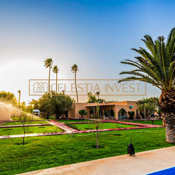 Exquisita vista junto a la piscina durante la puesta de sol con exuberantes siluetas de palmeras en un tranquilo jardín de una lujosa finca de Marrakech.